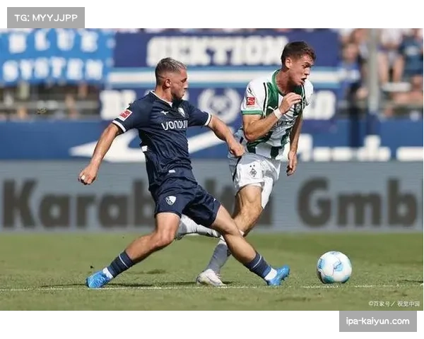 弗赖堡主场未能把握机会 与来访的波鸿互交白卷收场